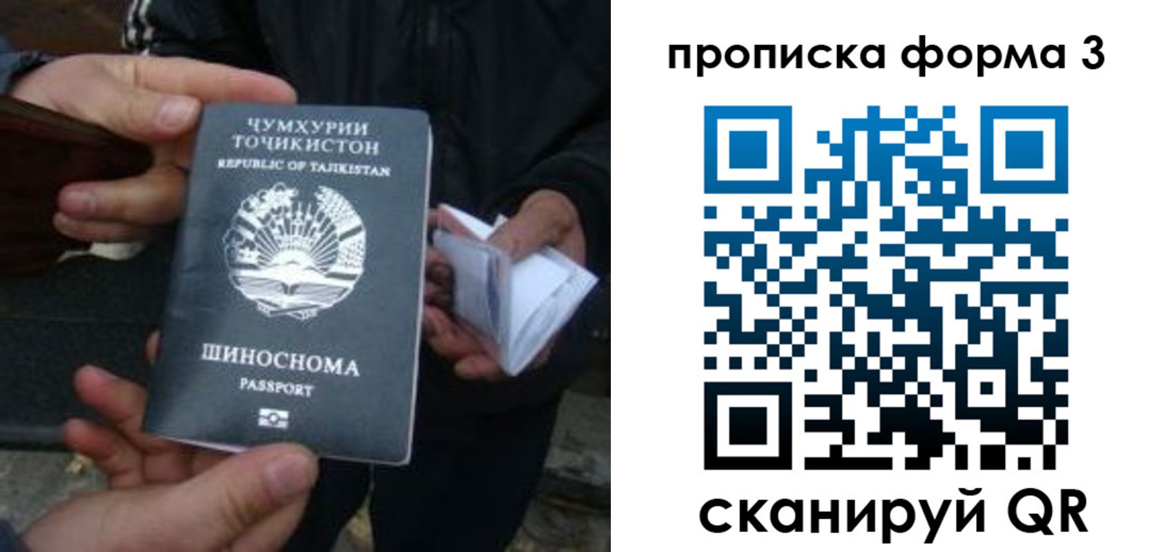 прописка 2025 в Кувшиново